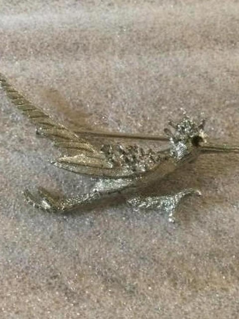Roadrunner Pin